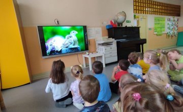 Światowy Dzień Wróbla - grupa 4-latków