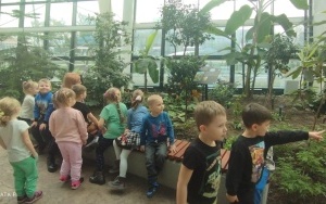 Wycieczka do Egzotarium w Sosnowcu - gr. 5-latków (2)