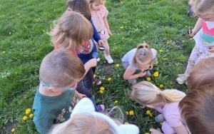 Wiosenna łąka - gr. 3-latków (5)