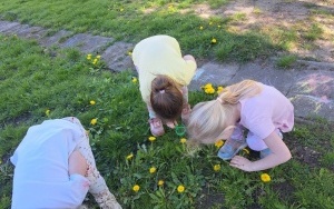 Wiosenna łąka - gr. 3-latków (6)