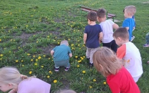 Wiosenna łąka - gr. 3-latków (4)