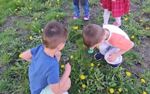 Wiosenna łąka - gr. 3-latków (8)