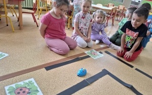 "Wiosenna łąka" - kodowanie w grupie 4-latków (7)
