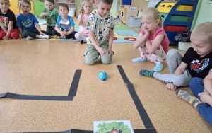 "Wiosenna łąka" - kodowanie w grupie 4-latków (8)