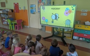 Światowy Dzień Pszczół (3)