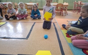 Światowy Dzień Pszczół (7)
