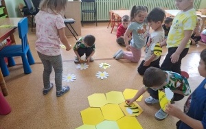 Światowy Dzień Pszczół (9)
