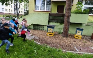 Światowy Dzień Pszczół (17)