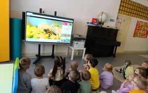 Światowy Dzień Pszczół (4)
