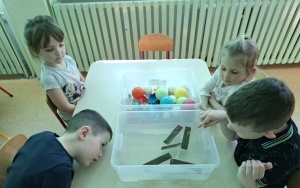 Akademia Małego Naukowca (4)