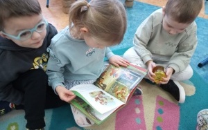 Dzień Kubusia Puchatka (18)