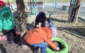 Wiosenne porządki w ogrodzie (3)