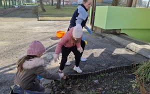 Wiosenne porządki w ogrodzie (5)