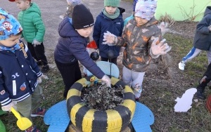 Wiosenne porządki w ogrodzie (6)