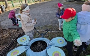 Wiosenne porządki w ogrodzie (5)