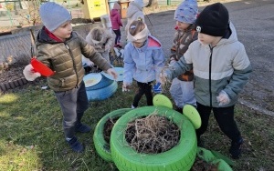 Wiosenne porządki w ogrodzie (6)