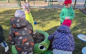 Wiosenne porządki w ogrodzie (9)