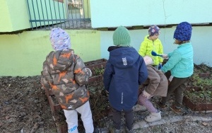 Wiosenne porządki w ogrodzie (10)