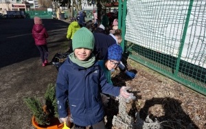 Wiosenne porządki w ogrodzie (11)