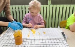 Dzień Przyjaźni Polsko-Francuskiej (9)