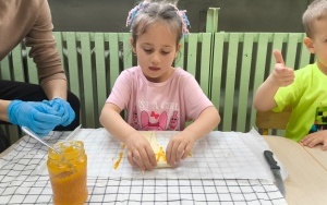 Dzień Przyjaźni Polsko-Francuskiej (10)