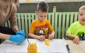 Dzień Przyjaźni Polsko-Francuskiej (10)