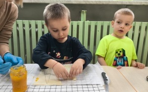 Dzień Przyjaźni Polsko-Francuskiej (10)