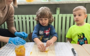 Dzień Przyjaźni Polsko-Francuskiej (11)