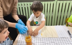 Dzień Przyjaźni Polsko-Francuskiej (11)