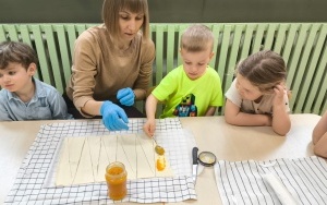 Dzień Przyjaźni Polsko-Francuskiej (12)