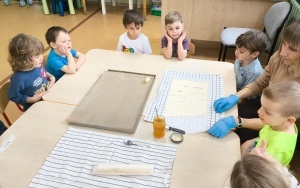 Dzień Przyjaźni Polsko-Francuskiej (12)