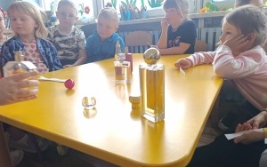 Dzień Przyjaźni Polsko-Francuskiej (15)