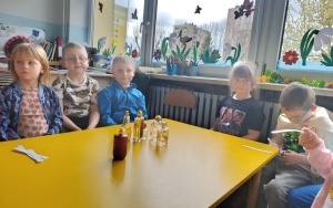 Dzień Przyjaźni Polsko-Francuskiej (16)