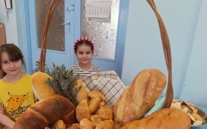 Dzień Przyjaźni Polsko-Francuskiej (17)