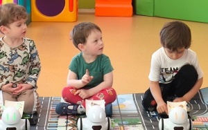 Warsztaty z robotyki (6)