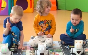 Warsztaty z robotyki (6)