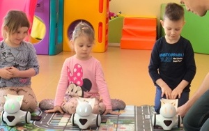 Warsztaty z robotyki (7)