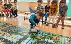 Warsztaty z robotyki (11)