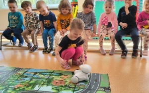 Warsztaty z robotyki (12)