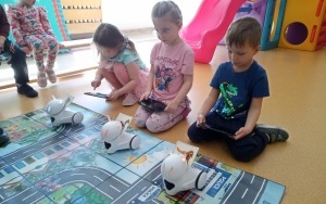 Warsztaty z robotyki (5)
