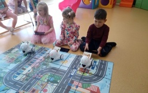 Warsztaty z robotyki (5)