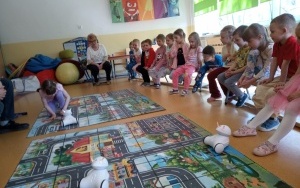 Warsztaty z robotyki (6)