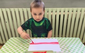 Majowe święta państwowe (5)