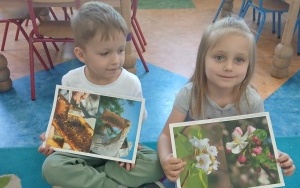 Dzień Pszczoły w Urzędzie Miejskim (2)
