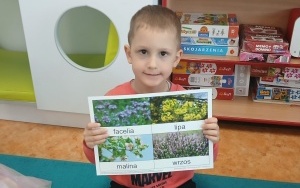 Dzień Pszczoły w Urzędzie Miejskim (2)