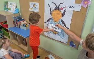 Dzień Pszczoły w Urzędzie Miejskim (4)