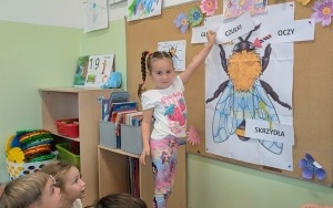 Dzień Pszczoły w Urzędzie Miejskim (5)