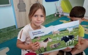 Dzień Praw Zwierząt (6)