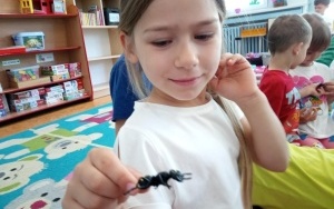 Dzień Praw Zwierząt (8)