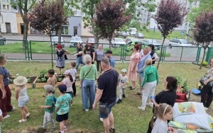 Kwiatowy EKOwarzywnik  (7)